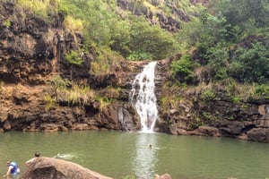 Гонолулу: экскурсия на целый день на автобусе по острову Оаху с обедом