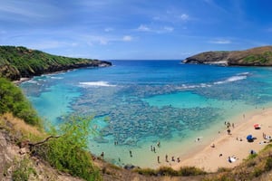 Honolulu: Oahu Sights and Bites Circle Island Foodie Tour