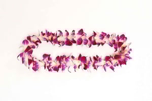 Kahului Airport: Maui Flower Lei begroeting bij aankomst