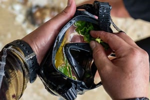 Kauai: Mālama Kai snorkleeventyr