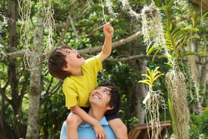 カウアイ島：マクブライド ガーデンのセルフガイド ツアー