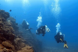 Kauai: Immersione mattutina in barca con 2 bombole per subacquei esperti