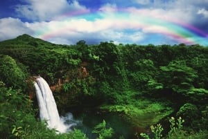 Kauai: Movie Locations Tour