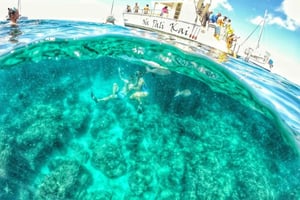 Kauai: tour in barca sulla costa di Na Pali con capitano e equipaggio