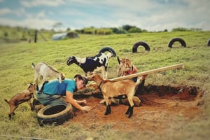 Kauai: speel met babyboerderijdieren en dompel jezelf onder in een microzuivelfabriek