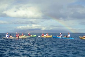 التجديف بالكاياك والغطس في غرب ماوي في أولوالو
