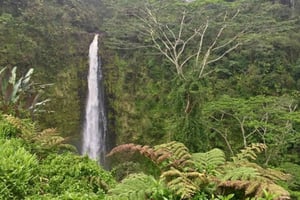 Kona: Avventura sul Grande Vulcano dell'Isola Grande