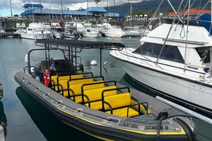 Kona Hi, solnedgångstur med mantor, max 10 passagerare