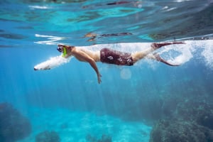 Lahaina: West Maui Snorkeling & Sailing Day Trip with Lunch