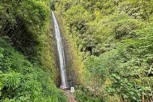 Manoa Falls eBike till vandring