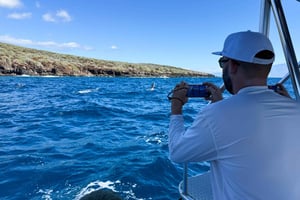 Maui: Eco-Raft Dolphin Watch Tour med snacks