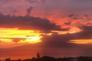 Maui: Tur til mangoplantage ved solnedgang med frugtsmagning og fotos