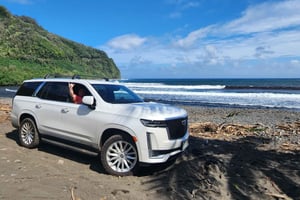 Maui: Hana Tour med pickup