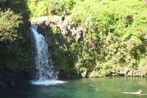 Maui: Tour privato della foresta pluviale e delle cascate di Road to Hana