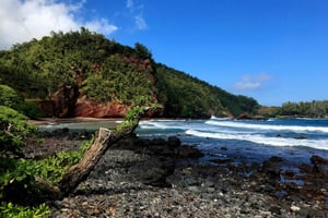 Maui: Privat tur på vägen till Hana med måltider