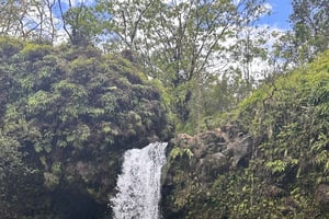 Maui: aventura na floresta tropical até Hana com fotos