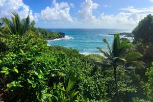 Maui : Visite touristique de la route de Hana