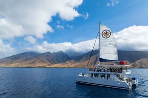 マウイ：サンゴの庭園へのスノーケリングツアー