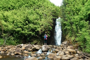 Maui: Caminata Guiada por las Cascadas de la Selva Tropical con Almuerzo Picnic