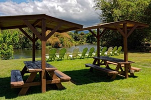 Der beste Tag an der Nordküste! Fluss, Schildkröten, Farm mit Mittagessen