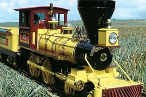 Oahu: Dole Plantation & Haleiwa Express Deluxe -kierros