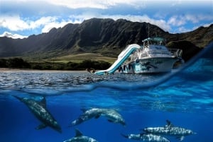 Oahu: Dolphin Watching & Turtle Snorkeling with Waterslide