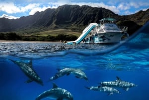 Oahu: Dolphin Watching & Turtle Snorkeling with Waterslide