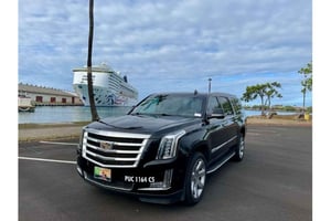 Oahu : Transfert au terminal de croisière du port d'Honolulu