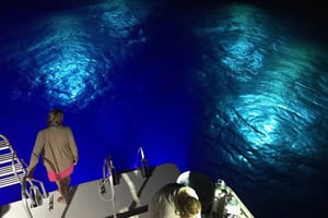 Oahu Night Dive: Adventure for Certified Divers