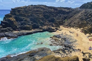 Oahu : expérience de la côte nord et plantation de Dole