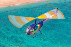 Oahu: Path to Pali 30-minuters dörrar på eller av helikoptertur