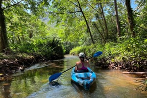 Oahu: Noleggio di kayak singoli e doppi per 3 ore sul fiume