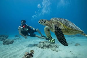 Оаху: Waikiki Discovery Подводное плавание для начинающих