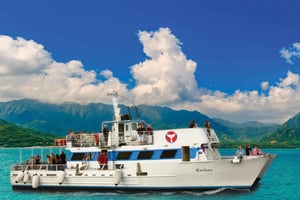 2-timers hvalsafari på Oahu fra Ala Wai havn, Waikiki