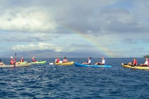 Kajak og snorkling på West Maui ved Olowalu