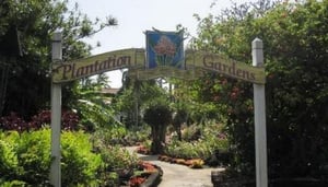 Plantation Gardens Restaurant