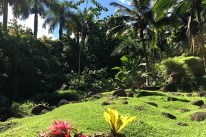 Princeville: visita guiada aos jardins botânicos e chocolate