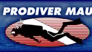 Pro Diver