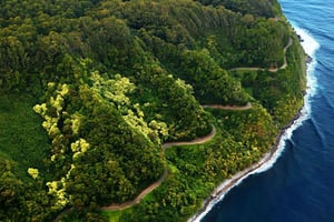 Camino a Hana: Guía Profesional, Comida, Natación, Cascadas