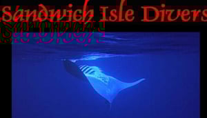 Sandwich Isle Divers