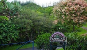 Senator Fong's Plantation and Gardens