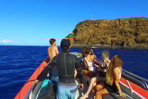 Från Kihei: Snorkling i Molokini-kratern och Turtle Town