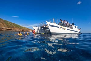 Maui Sur: Esnórquel en los Jardines de Coral o en el Cráter Molokini
