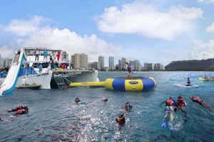 Waikiki: tour 5 in 1 con snorkeling tra le tartarughe e trasferimento incluso