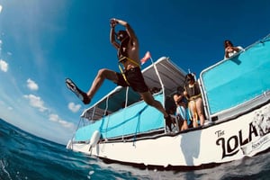 Waikiki: Snorkeltur med hawaiiske grønne havskilpadder