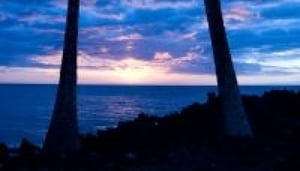 Waikiki Starlight Luau