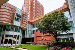 Hong Kong: Tour pelo campus da HKU com guia estudantil