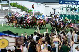 Tour guiado por el hipódromo del Jockey Club de Hong Kong con comida y bebida