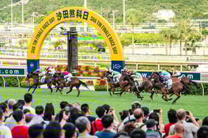 Tour premium dell'ippodromo di Shatin del Jockey Club di Hong Kong