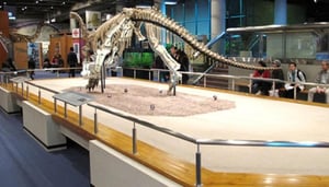 Hong Kong Science Museum